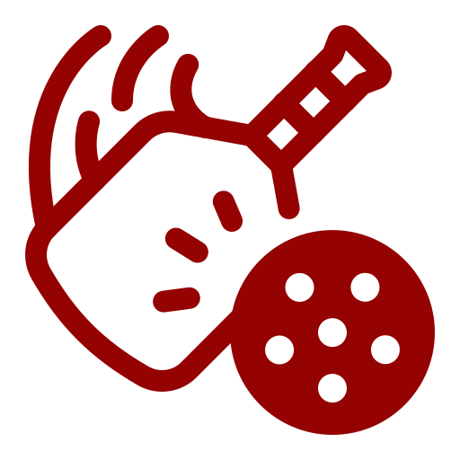 Pickleball Court