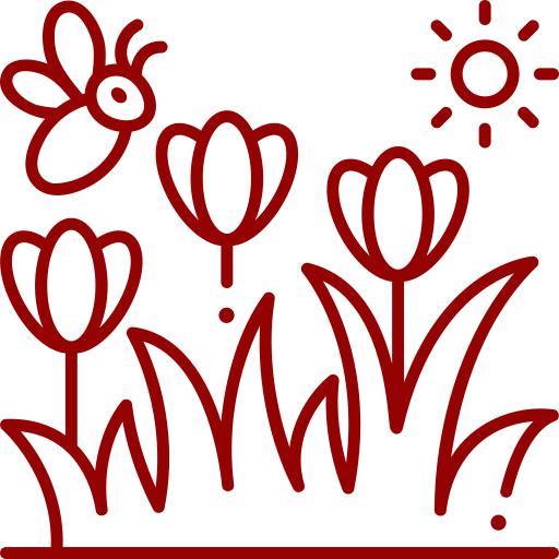 Flower Garden